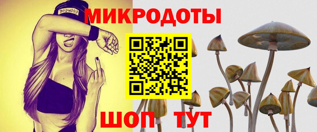 Галлюциногенные грибы Cubensis  Вход с VPN  Псилоцибиновые грибы ЛСД  Новоалтайск 